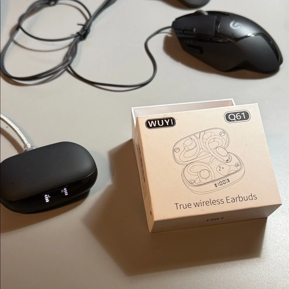 Q61 True Wireless Earbuds with Charging Case